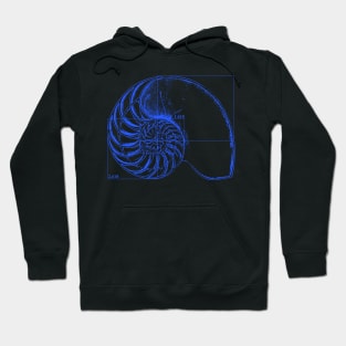 Fibonacci on a nautilus shell (blue) Hoodie